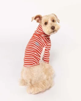 Stripe Tee Rust and Ivory