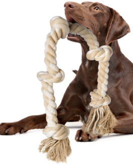 Dog Rope Tug Toy
