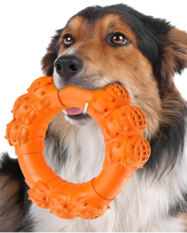 Durable Chew Ring Toy